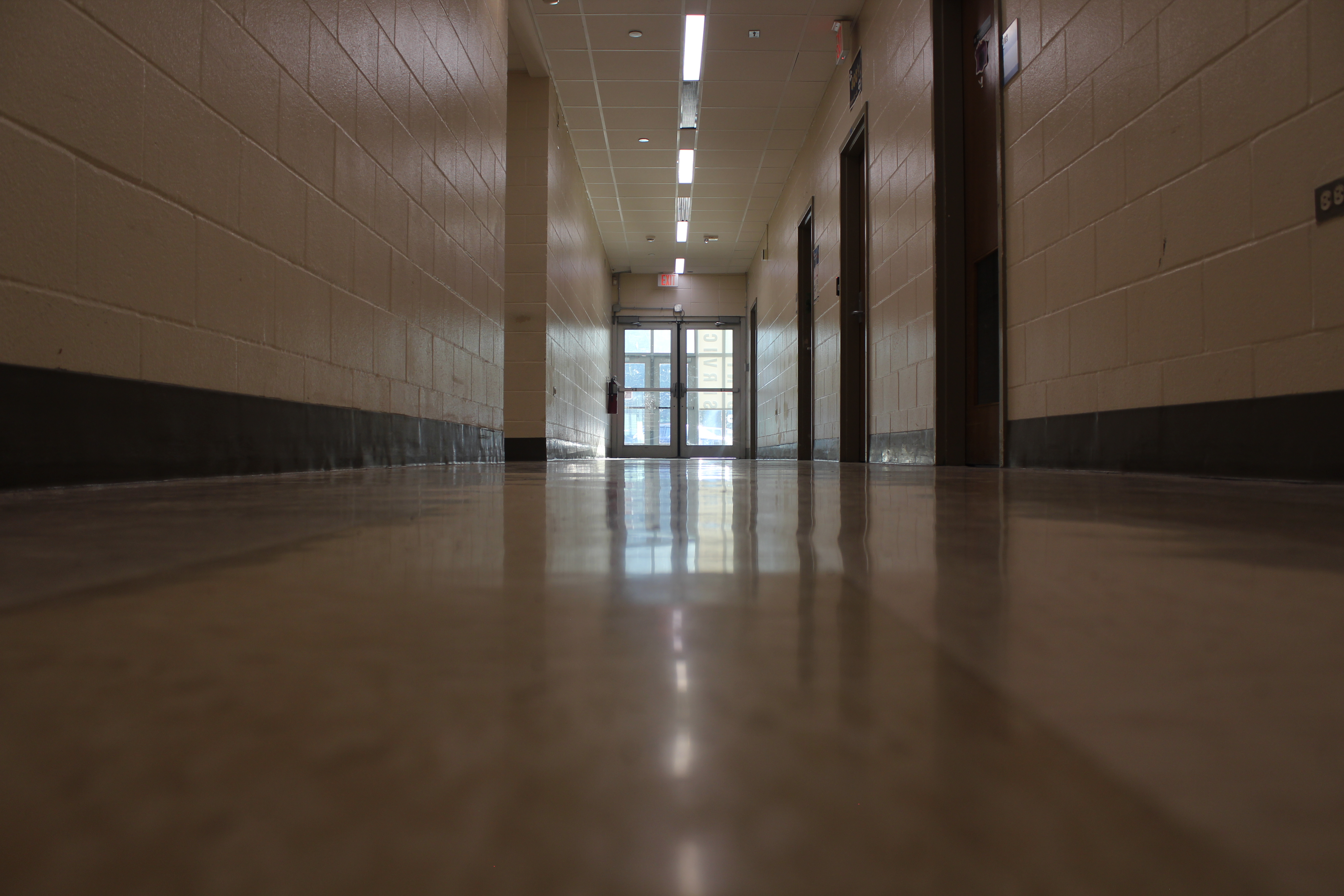 Ant Hallway