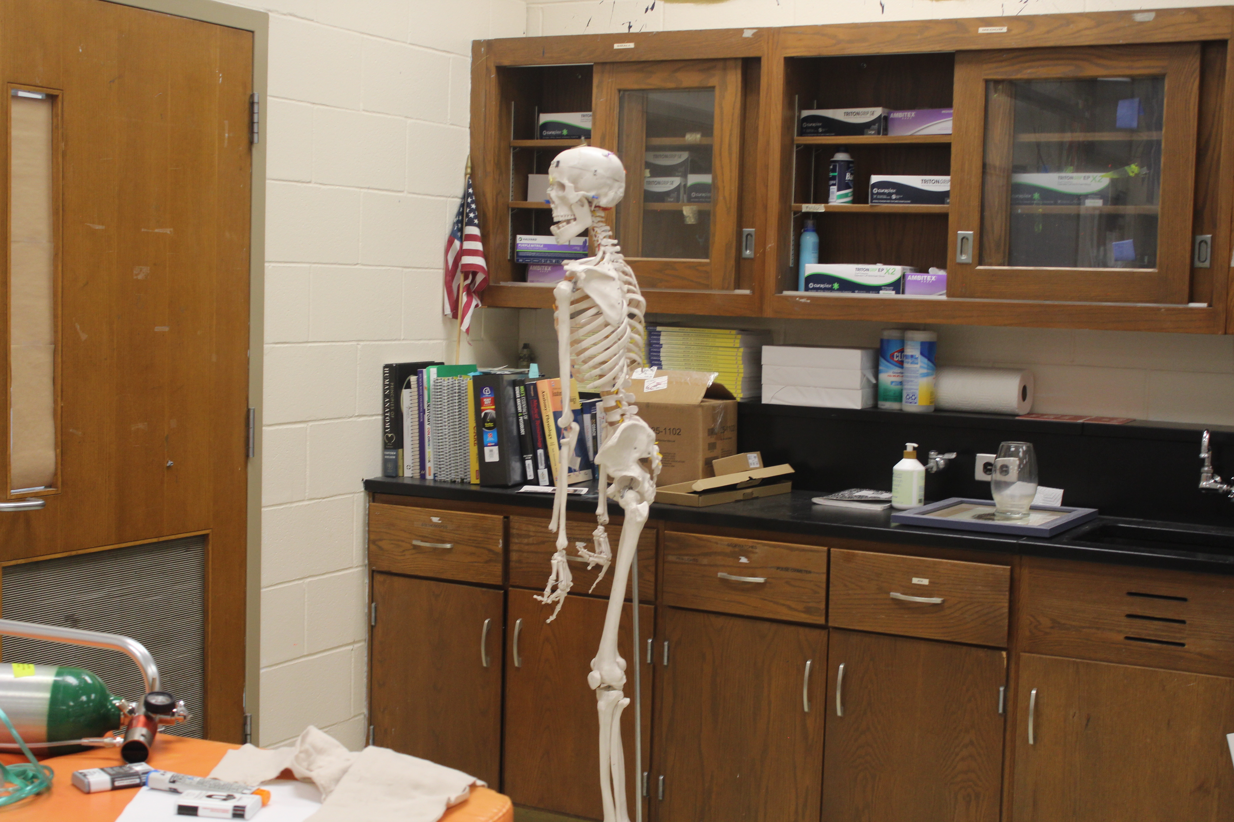 Skeleton